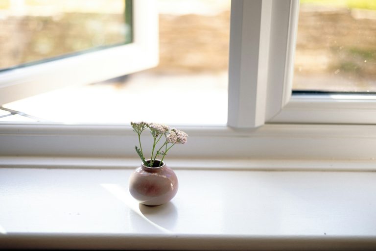 annie-spratt-Xwju8CcakGk-unsplash