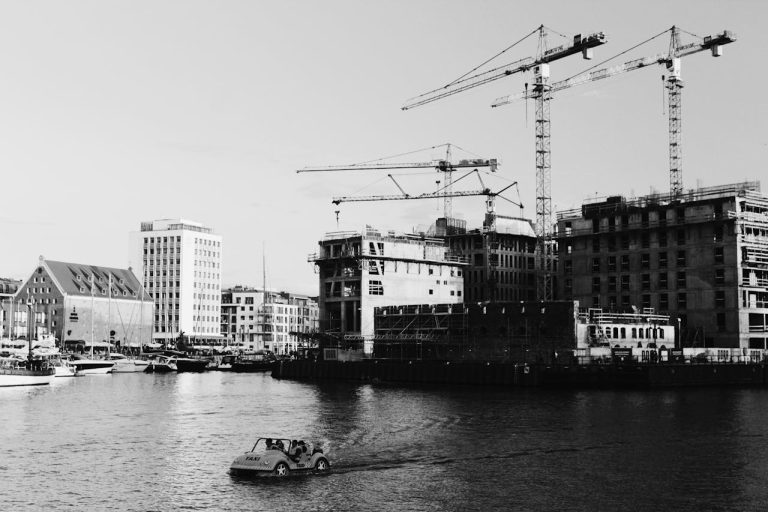 pexels-pawel-l-435199-1364063 (1)